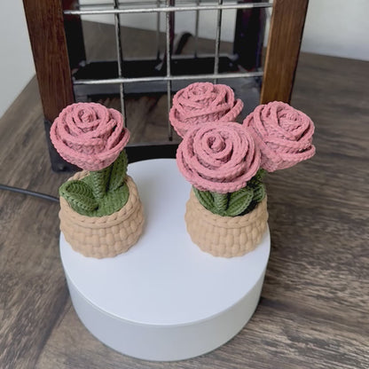 Faux Knit Rose Ornaments Gift Set Of 2 With Hidden Storage